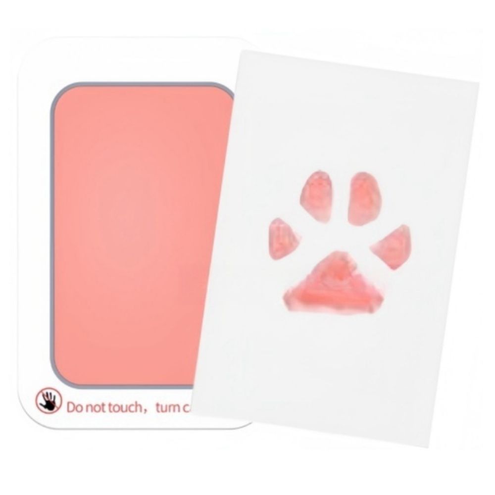 Pet Paw Print Kit