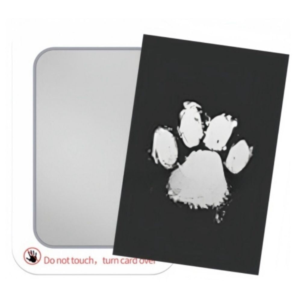 Pet Paw Print Kit